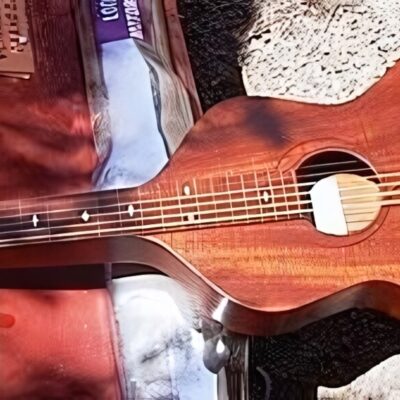 Reuter Hawaiian Guitar