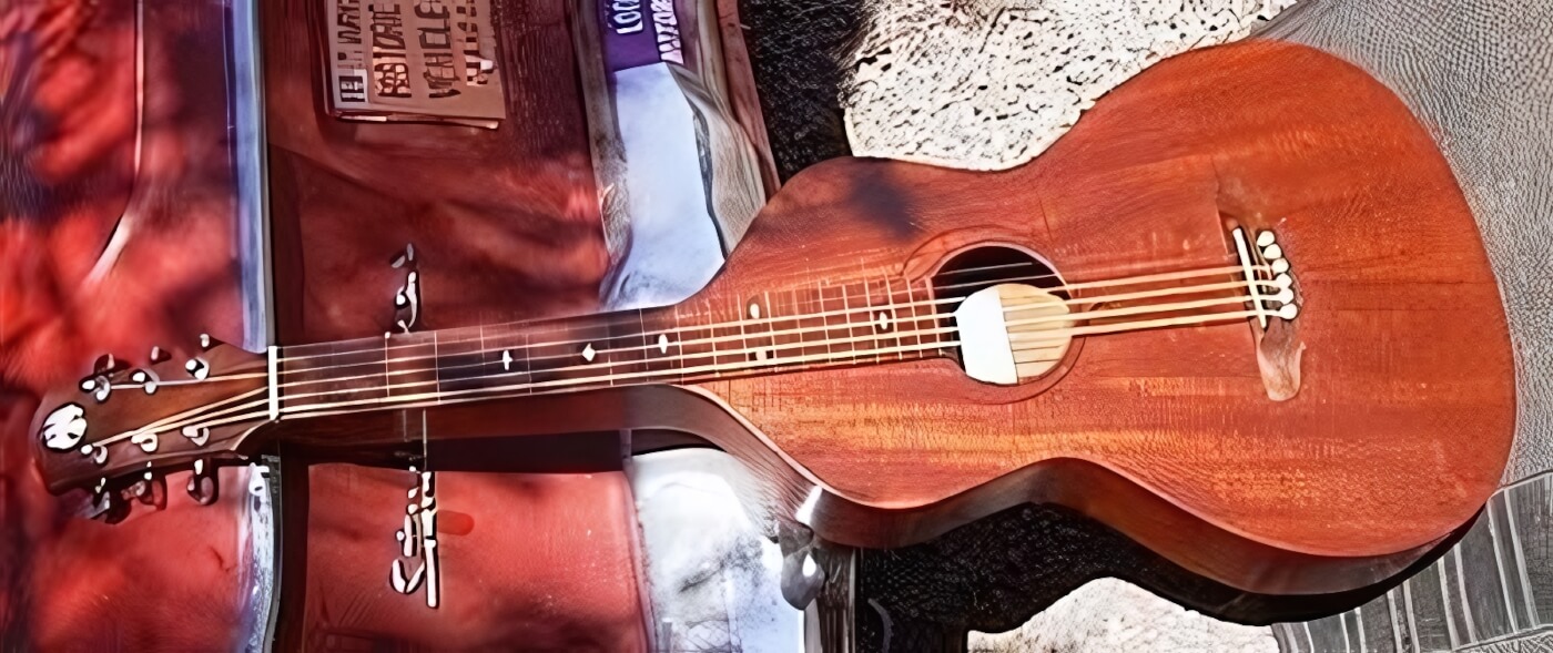Reuter Hawaiian Guitar